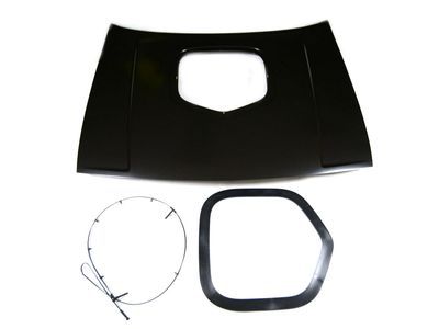 Dodge 82213396 HOOD KIT Vehicle