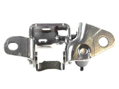 Dodge 55360918AF HINGE Door Lower