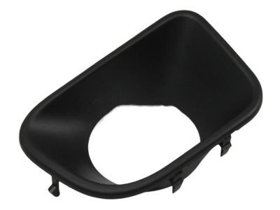 Mopar 68072152AA Bezel, Lower