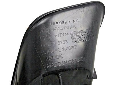 Ram 68100699AA BEZEL Fog Lamp