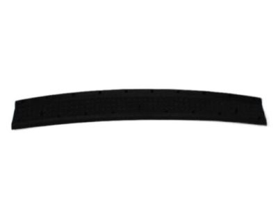 Chrysler 68002930AB SCUFF PAD Rear Fascia