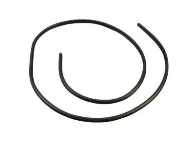 2022 Dodge Charger Door Seal - 1KW33DX9AH