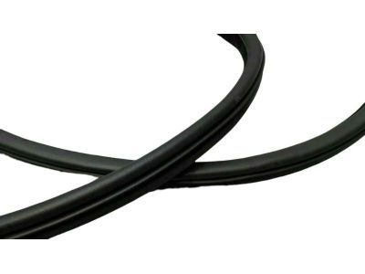 Mopar 1KW33DX9AH Surround Weatherstrip, Front