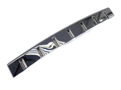 Mopar 1DL48SZ0AA Lower Molding, Front
