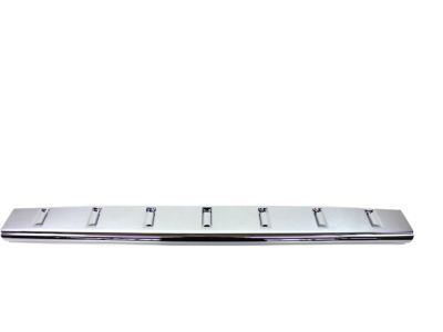 Mopar 1DL48SZ0AA Lower Molding, Front