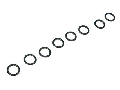 Jeep 68026799AA O RING Receiver Drier