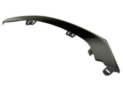 Chrysler 68203039AB Outer Molding