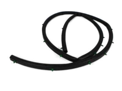 Dodge 68070493AA Seal Strip
