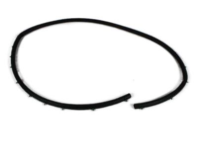 Dodge 68070493AA Seal Strip