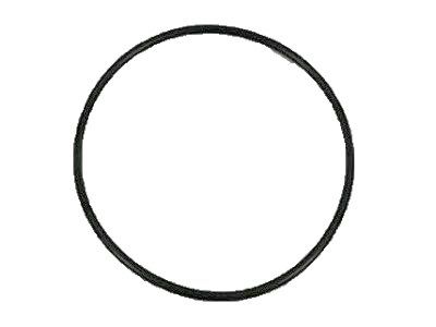 Ram 68036474AA O RING