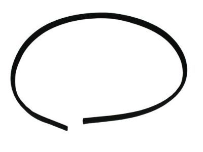 Dodge 55275977AC SEAL Hood To Plenum