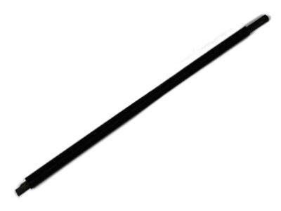 Ram 55112376AF WEATHERSTRIP Front Door Belt Outer