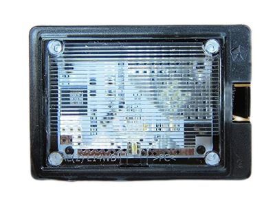 Dodge 68244899AA LAMP License Plate
