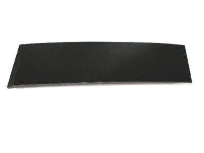 Ram 5020669AA APPLIQUE Sliding Door Outside C-Pillar