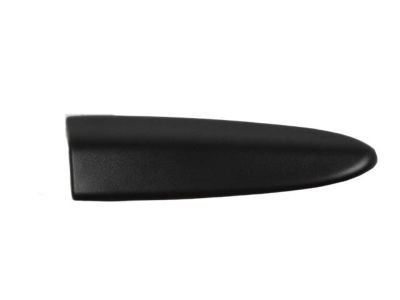 Dodge 55077166AC MOLDING Cab