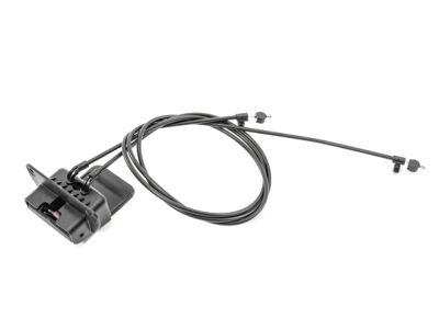 Jeep 68398994AA HANDLE AND LATCH Folding Top