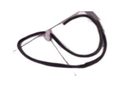 Chrysler PT Cruiser Door Seal - XW42XXXAA
