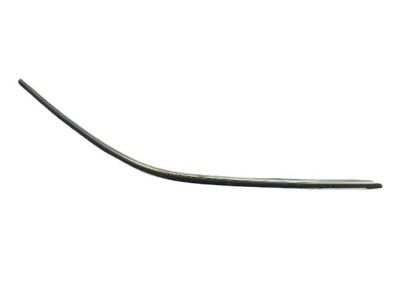 Dodge Challenger Door Seal - 4575903AB