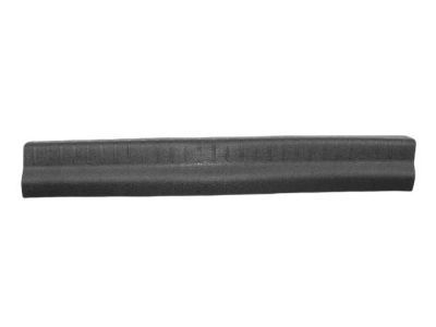 Dodge 1BE45DX9AC PLATE Scuff