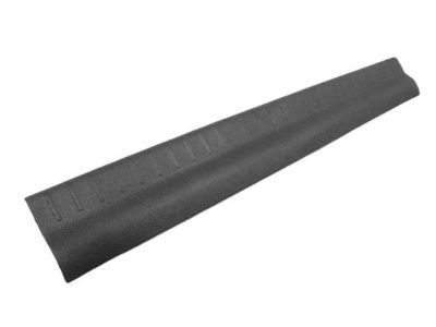 Dodge 1BE45DX9AC PLATE Scuff