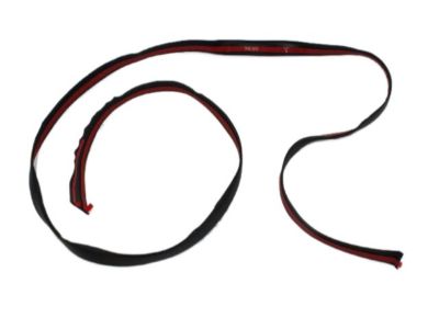 Dodge 4860838AC MOLDING Roof