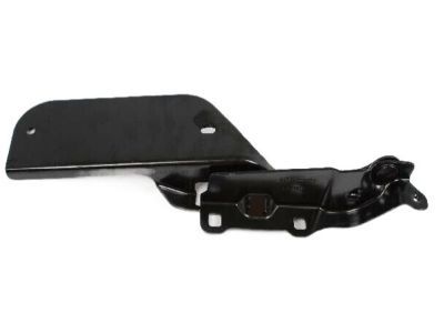 Mopar 55394475AB Hinge, Front Driver Side