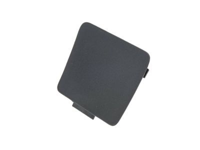 Ram 1WD63TX7AA COVER Release Handle Bezel