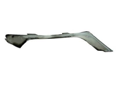 Chrysler 68203038AB Outer Molding