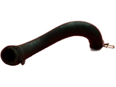 2020 Dodge Challenger Radiator Hose - 55038161AD