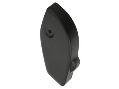Dodge 1RJ32DX9AD COVER Lamp Opening