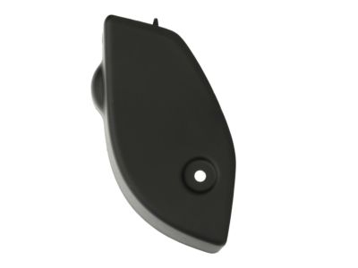 Dodge 1RJ32DX9AD COVER Lamp Opening