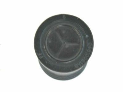 Jeep 4810021AB GROMMET