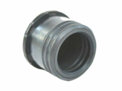 Jeep 4810021AB GROMMET