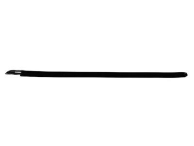 Mopar 55399122AF Weatherstrip Front Door Belt Outer
