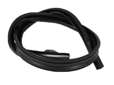 Dodge 55275436AE WEATHERSTRIP Body Side