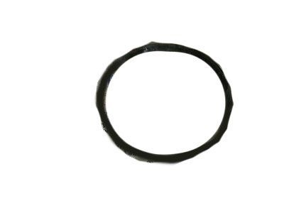 Dodge 5217904 FILTER, In Tank Pump