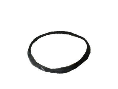 Dodge 5217904 FILTER, In Tank Pump