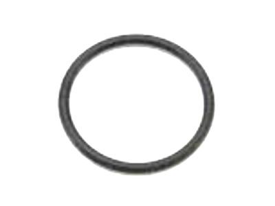 Dodge WQ05BD1AA PLUG B Pillar Lower