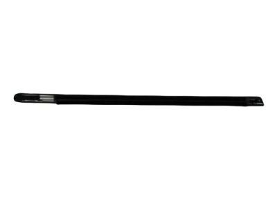 Dodge 4805997AD WEATHERSTRIP Front Door Belt Outer