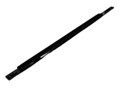 Dodge 4805997AD WEATHERSTRIP Front Door Belt Outer