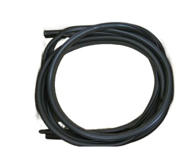 Chrysler Voyager Door Seal - 4675674