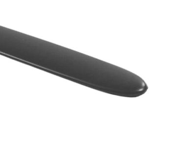 Mopar 5JG21XRVAA Molding Front Door