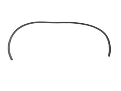 Jeep 5116398AI WEATHERSTRIP Front Door Body Mounted