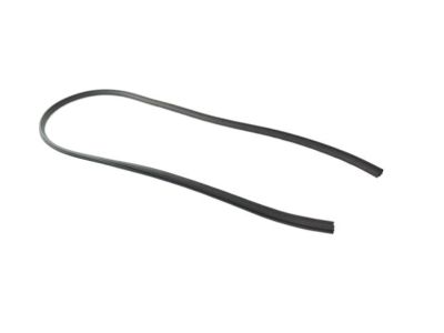 Jeep Compass Weather Strip - 5116398AI