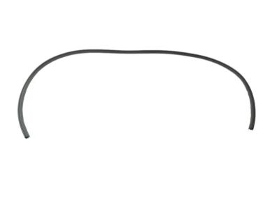 Jeep 5116398AI WEATHERSTRIP Front Door Body Mounted