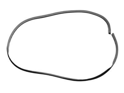 Dodge UQ20DW1AC WEATHERSTRIP Front Door Opening