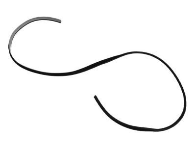 Dodge Magnum Weather Strip - UQ20DW1AC