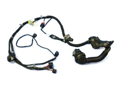 Dodge 68232058AA Wiring - Front Door