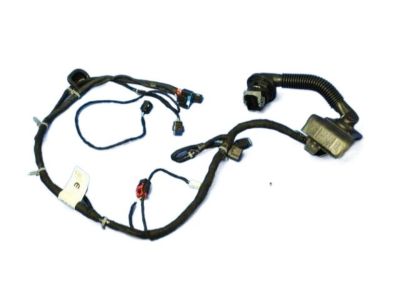 Dodge 68232058AA Wiring - Front Door