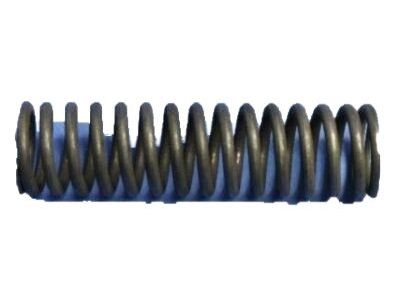 Jeep 2402473 SPRING Oil Pressure Relief Valve
